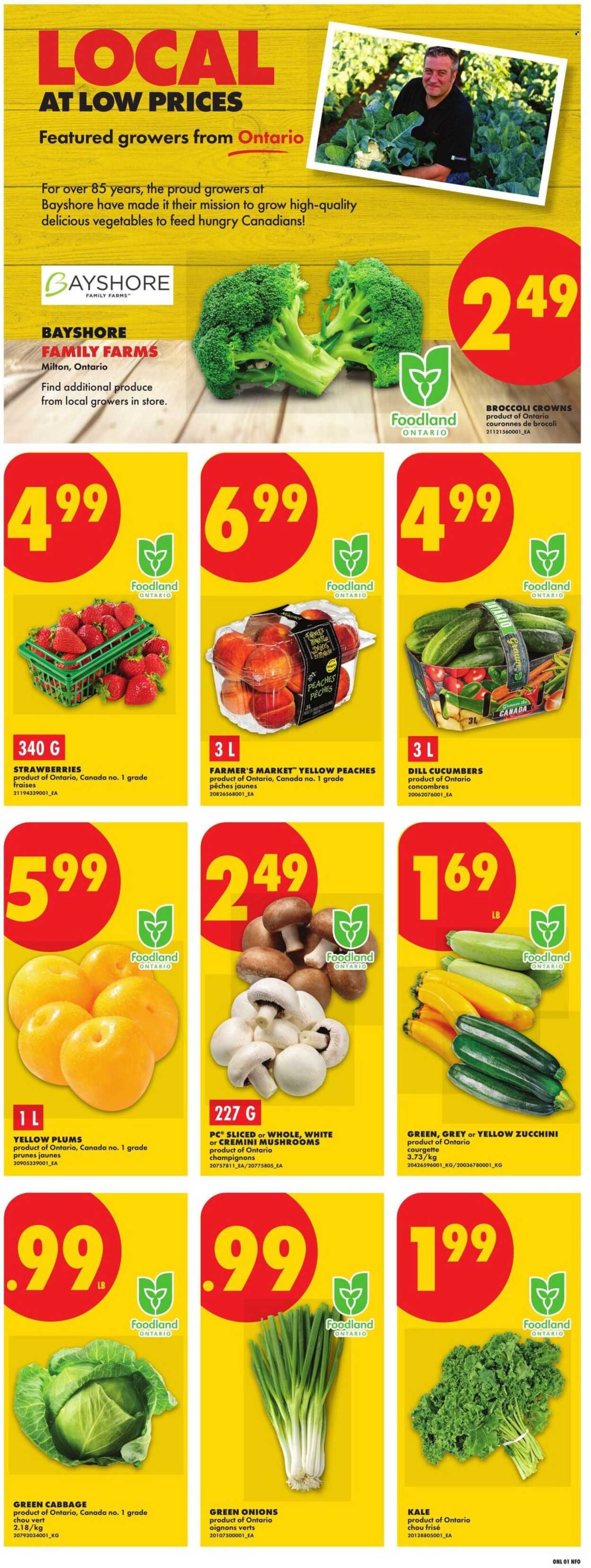 No Frills flyer - July 23, 2026 - July 29, 2026. Page 3