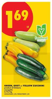 GREEN, GREY or YELLOW ZUCCHINI