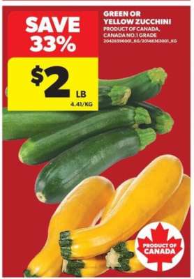 GREEN or YELLOW ZUCCHINI