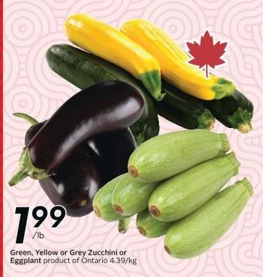 Green, Yellow or Grey Zucchini or Eggplant