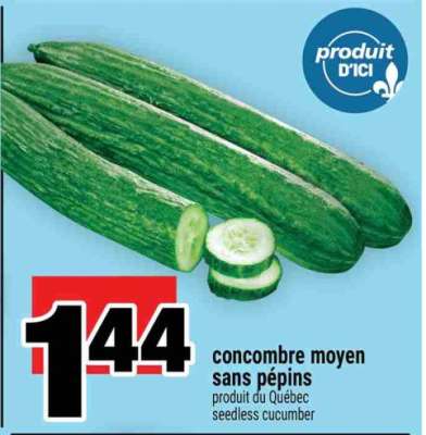 concombre moyen sans pépins
