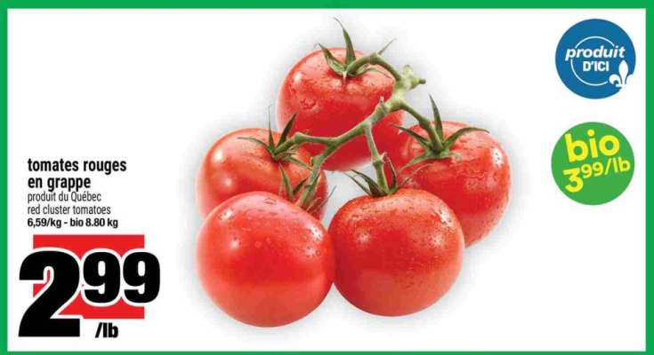 TOMATES ROUGES EN GRAPPE