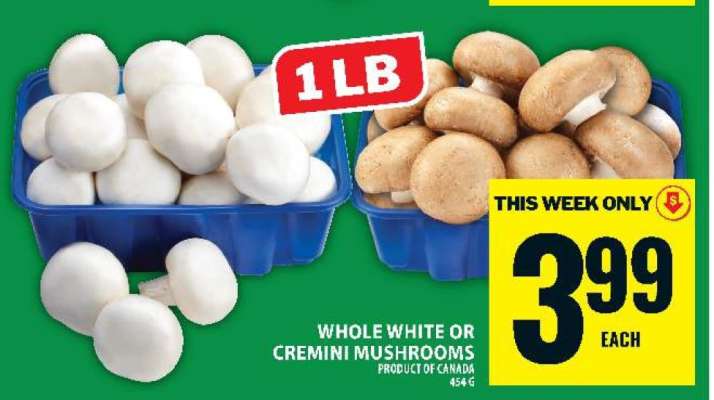 WHOLE WHITE OR CREMINI MUSHROOMS