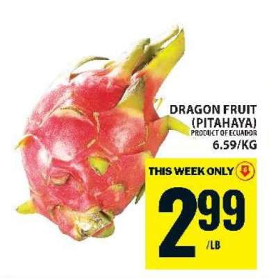 DRAGON FRUIT (PITAHAYA)