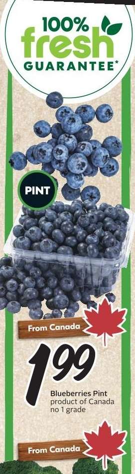 BLUEBERRIES, PINT