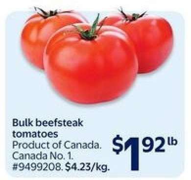 Bulk Beefsteak Tomatoes