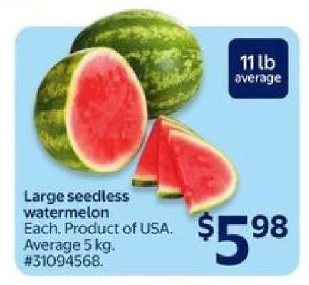 Large Seedless Watermelon