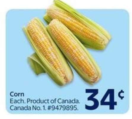 Corn