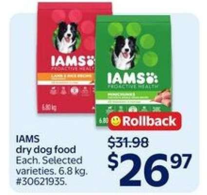 IAMS Dry Dog Food