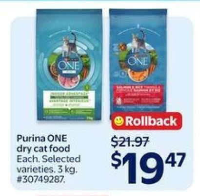 Purina ONE Dry Cat Food