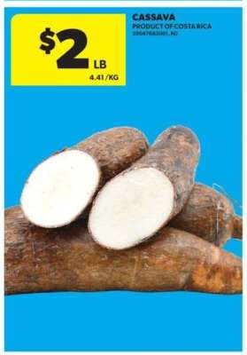 CASSAVA