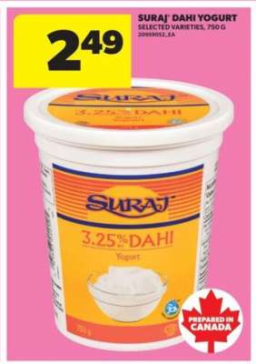 SURAJ DAHI YOGURT