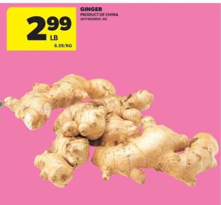 GINGER