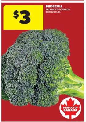BROCCOLI