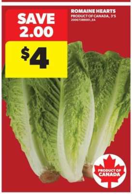 ROMAINE HEARTS