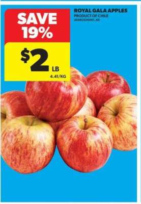 ROYAL GALA APPLES