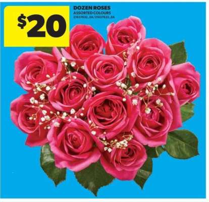 DOZEN ROSES