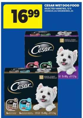 Cesar Wet Dog Food