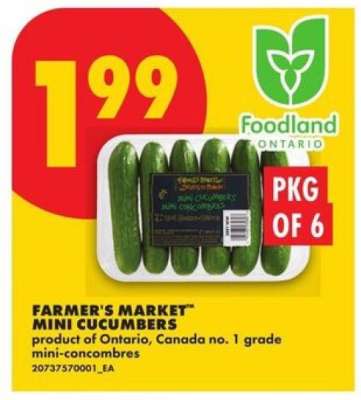 FARMER'S MARKET™ MINI CUCUMBERS