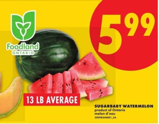 Sugarbaby Watermelon