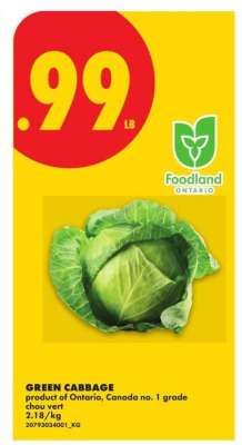 GREEN CABBAGE