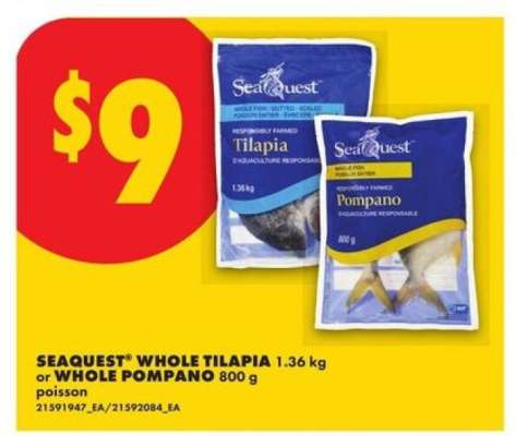 Seaquest Whole Tilapia or Whole Pompano