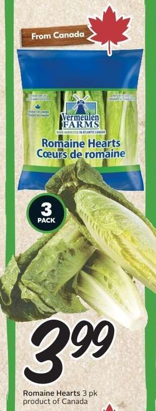 ROMAINE HEARTS