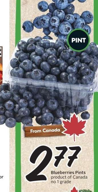 Blueberries Pints
