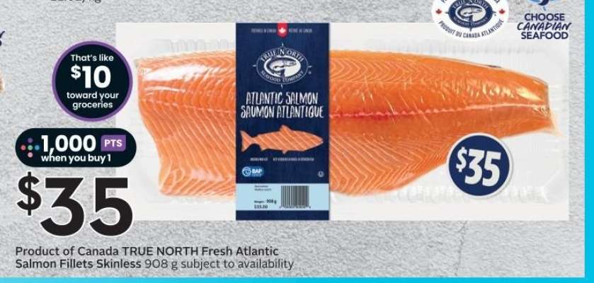 TRUE NORTH Fresh Atlantic Salmon Fillets