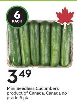 Mini Seedless Cucumbers