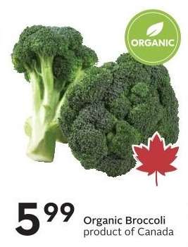 ORGANIC BROCCOLI