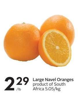 Large Navel Oranges
