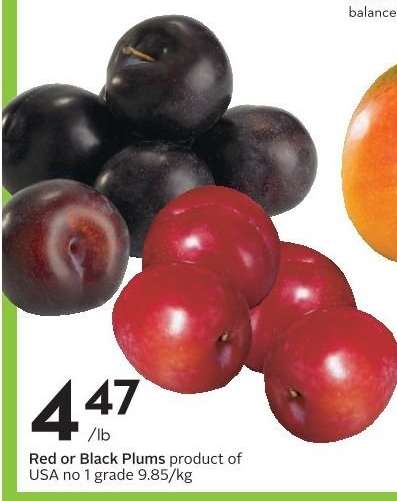 Red or Black Plums