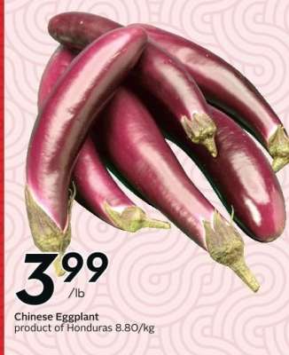 CHINESE EGGPLANT
