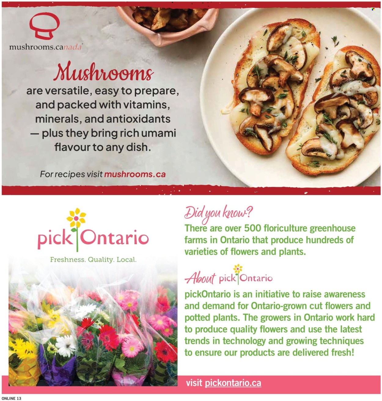 Fortinos flyer - July 30, 2026 - August 05, 2026. Page 14
