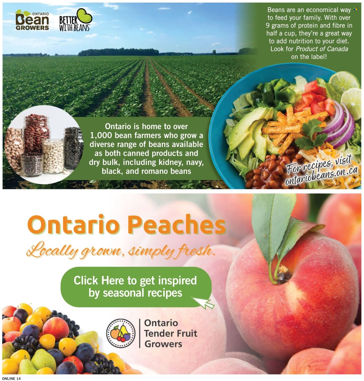 Fortinos flyer - July 30, 2026 - August 05, 2026. Page 15