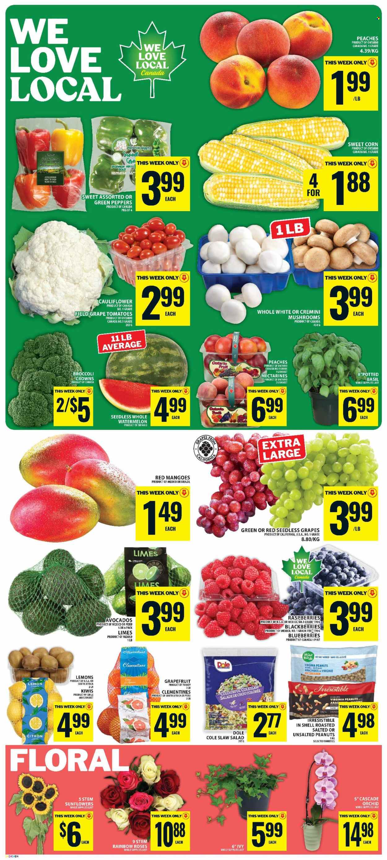 Food Basics flyer - August 13, 2026 - August 19, 2026. Page 3