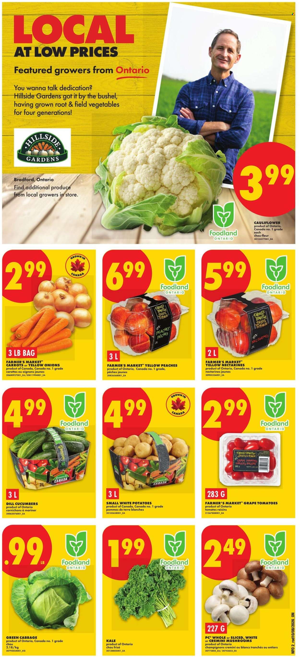 No Frills flyer - August 13, 2026 - August 19, 2026. Page 2