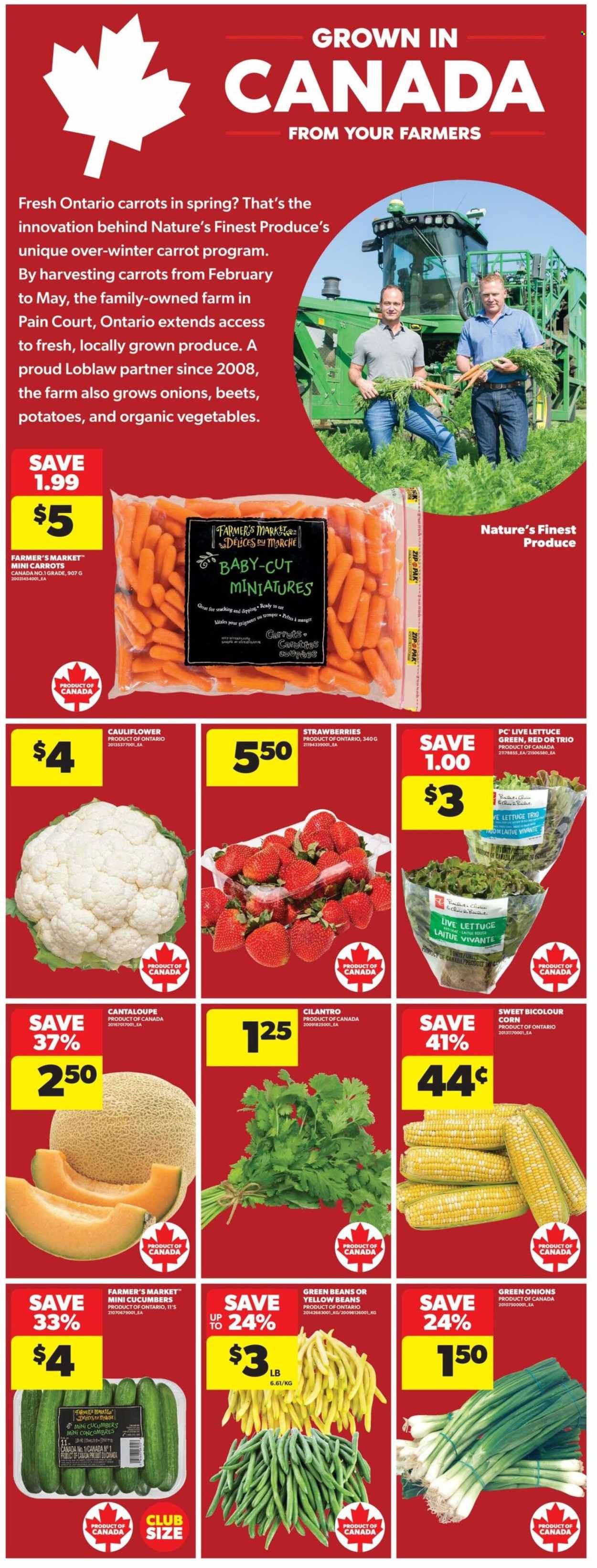 Real Canadian Superstore flyer - August 13, 2026 - August 19, 2026. Page 9