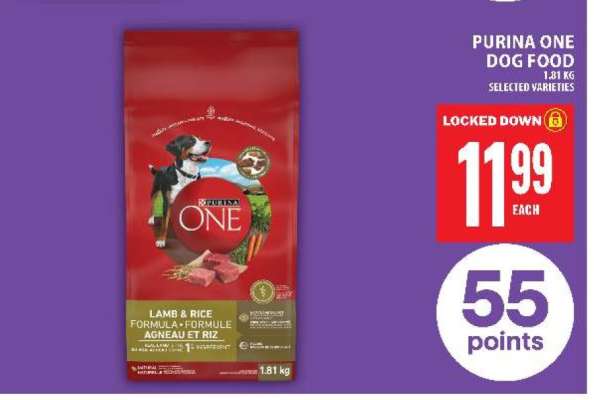 PURINA ONE DOG FOOD