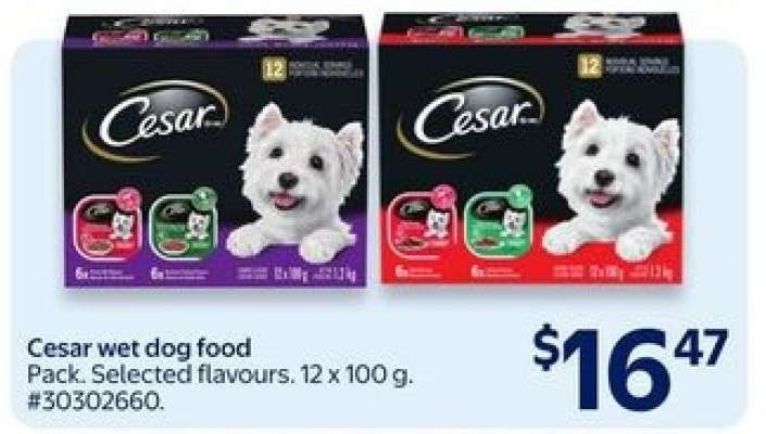 Cesar Wet Dog Food