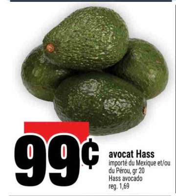 AVOCAT HASS