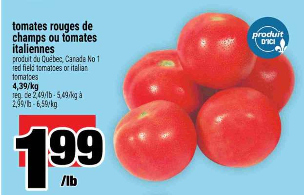 tomates rouges de champs ou tomates italiennes