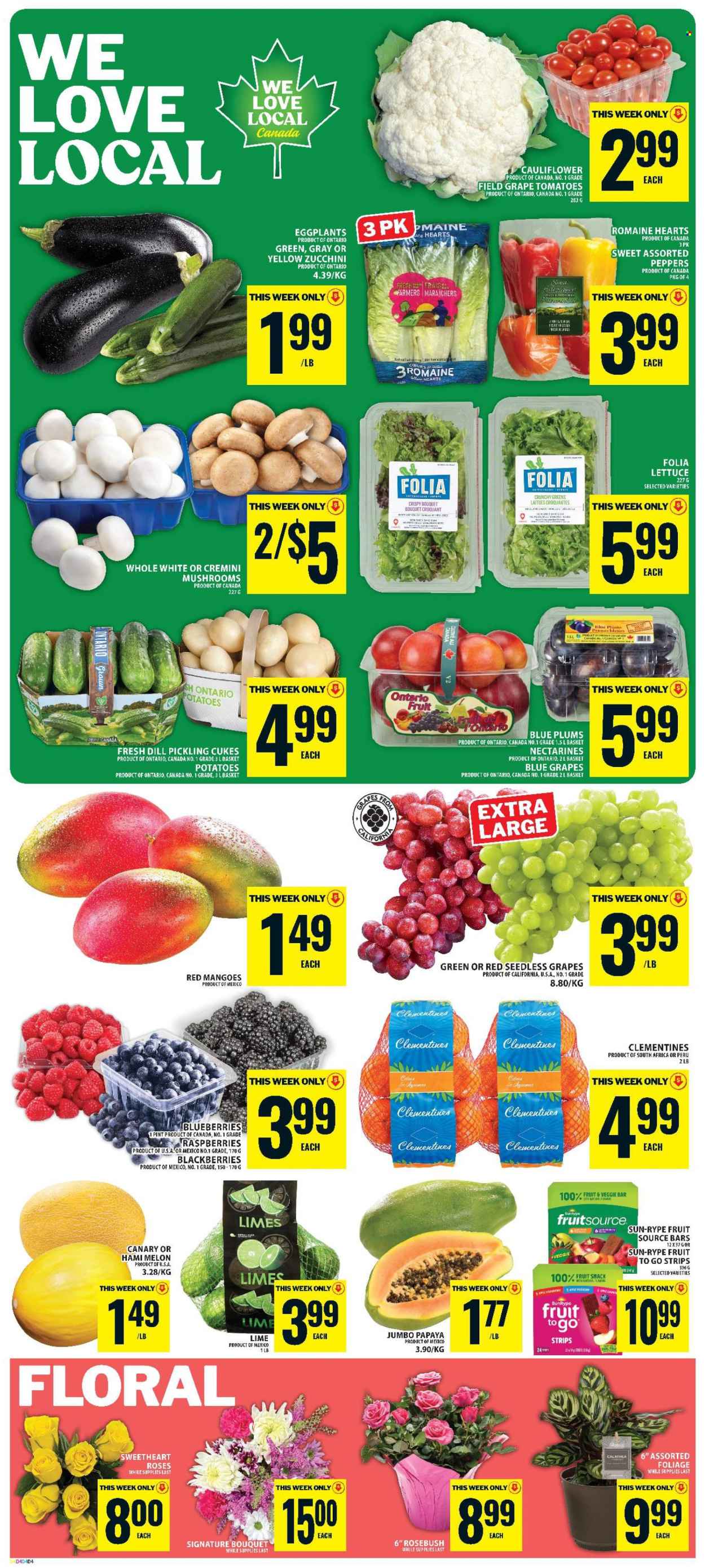 Food Basics flyer - August 20, 2026 - August 26, 2026. Page 3