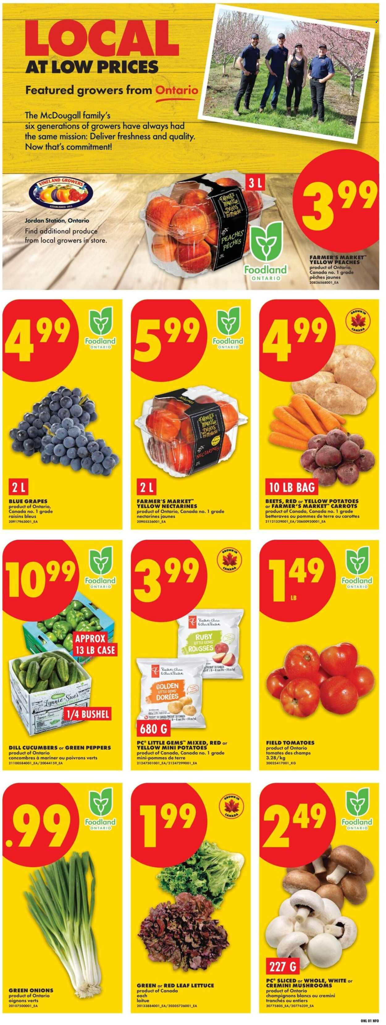 No Frills flyer - August 20, 2026 - August 26, 2026. Page 3