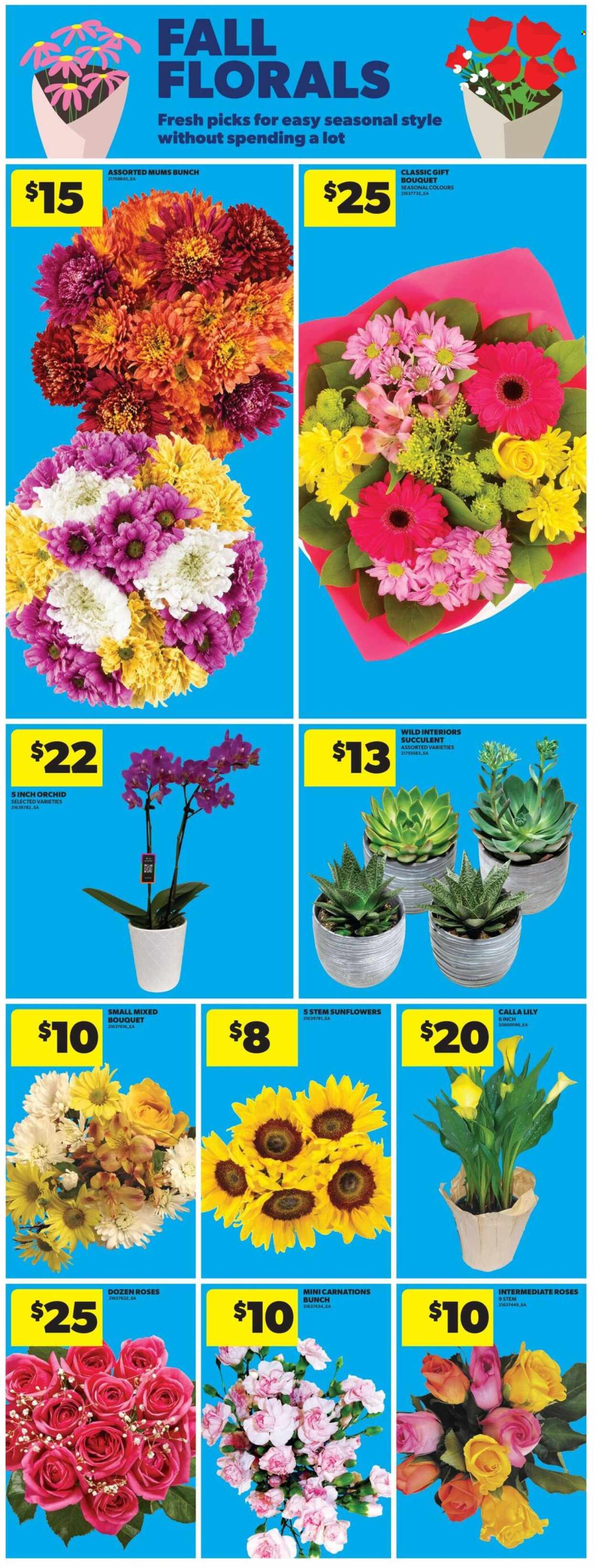 Real Canadian Superstore flyer - August 20, 2026 - August 26, 2026. Page 14
