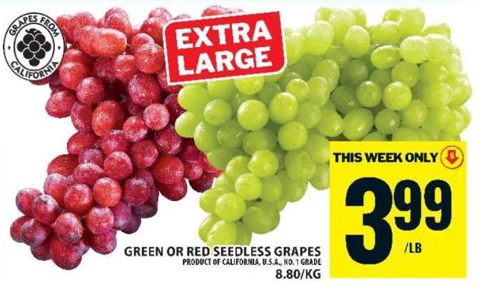 GREEN or RED SEEDLESS GRAPES