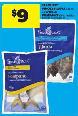 Seaquest Whole Tilapia or Whole Pompano