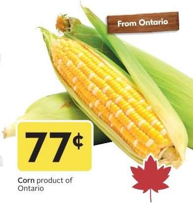 Corn