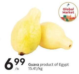GUAVA
